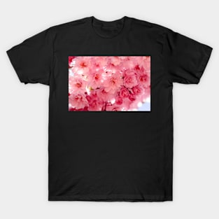 Double cherry blossoms T-Shirt